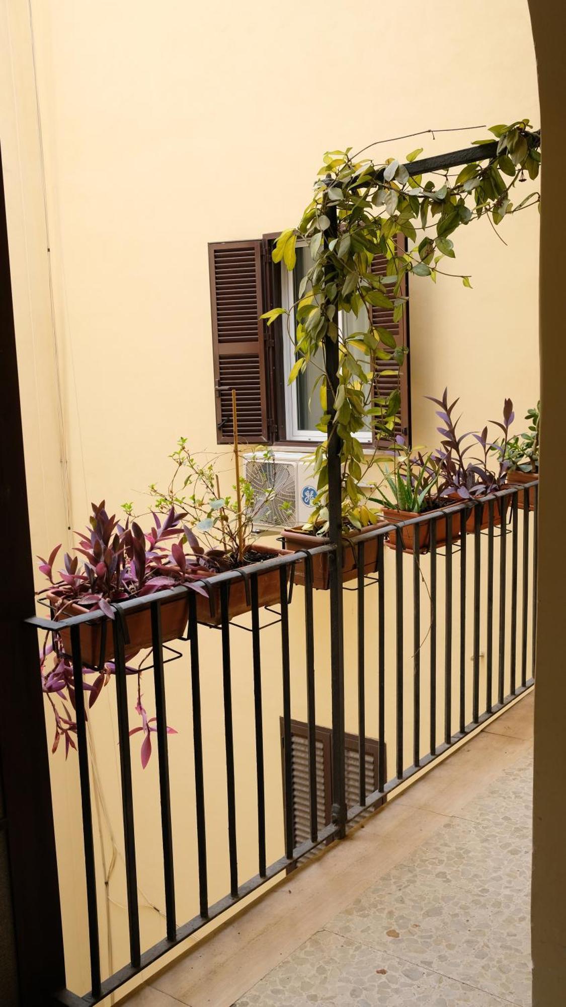 New! True-stevere Amazing Double Bed For 5 Pax