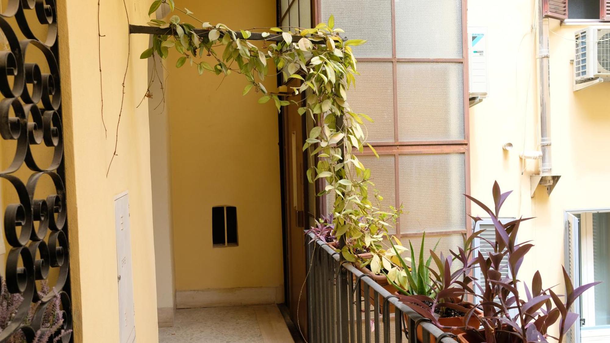Apartment New! True-stevere Amazing Double Bed For 5 Pax *