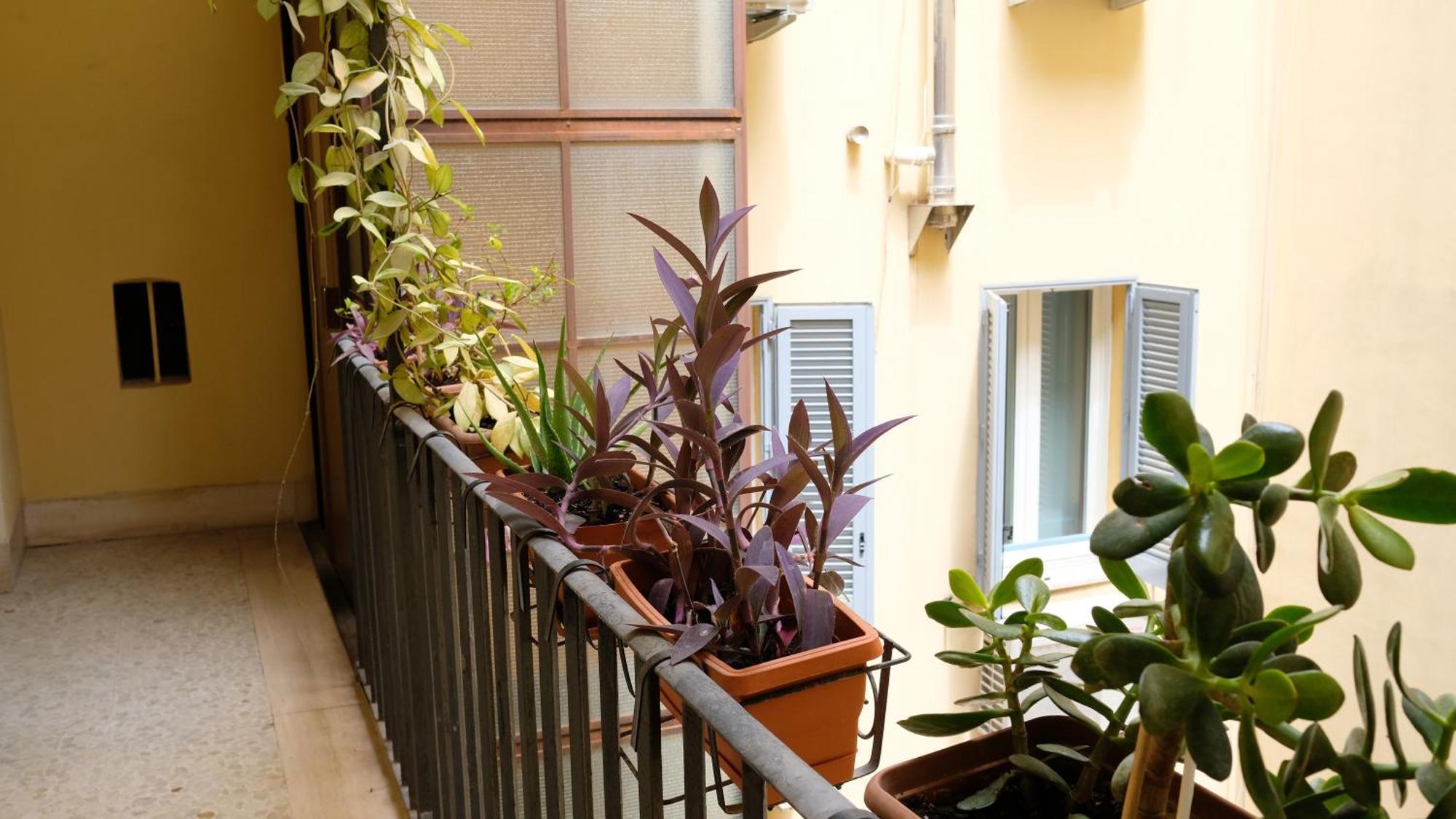 New! True-stevere Amazing Double Bed For 5 Pax Apartment *