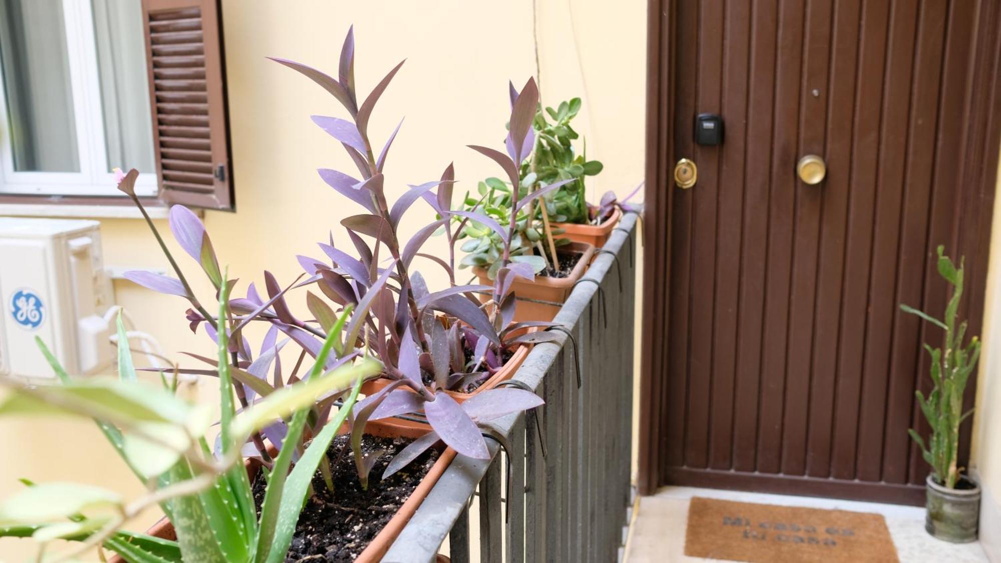 New! True-stevere Amazing Double Bed For 5 Pax